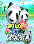 เว็บ ยู ฟ่า สล็อต แหล่งรวมเกมสล็อตยอดนิยม